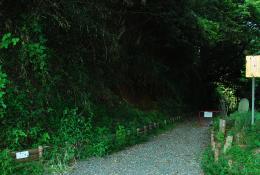 八重山ハイキングコース4