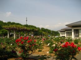 歌舞伎文化公園・ぼたん園2