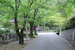豊富シルクの里公園3