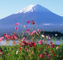 秋 富士の国やまなし観光ネット 山梨県公式観光情報