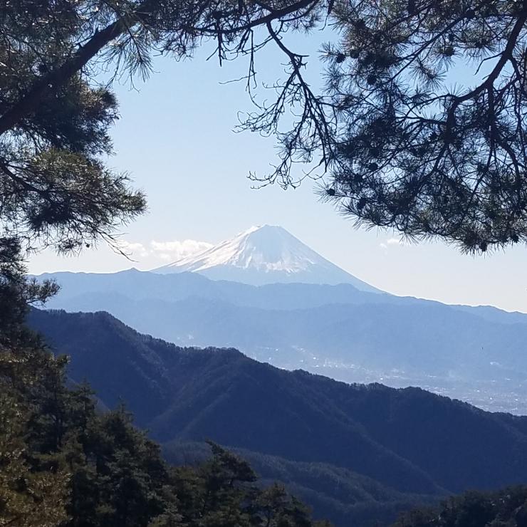 Fujisan5