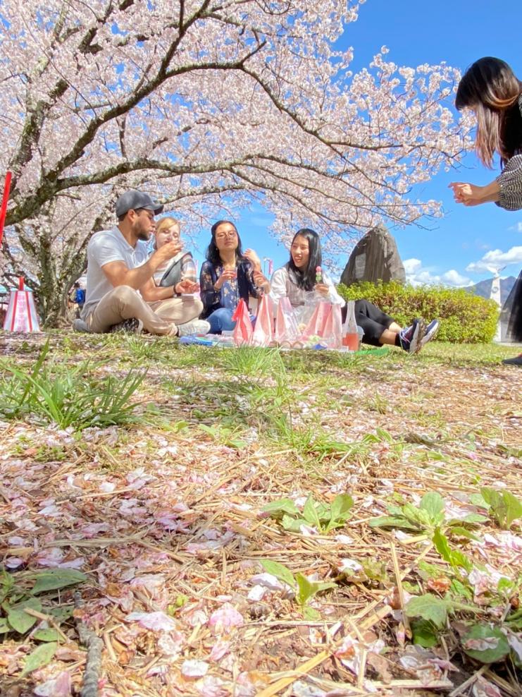 Hanami12