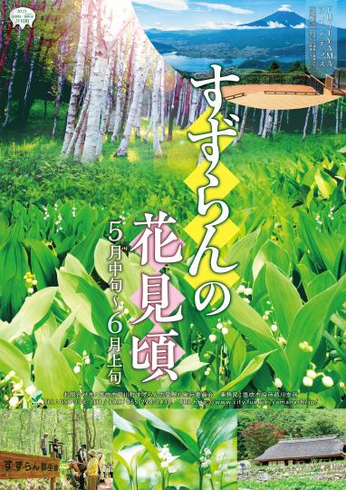 すずらんの見頃