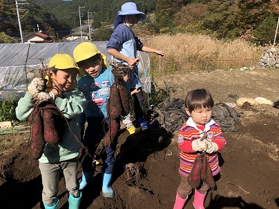 さつまいも収穫体験芦川