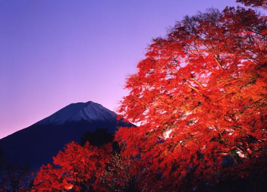 富士河口湖紅葉まつり03