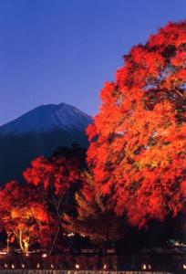 富士河口湖紅葉まつり01