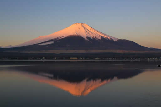 Beni Fuji