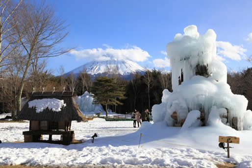 Lake Sai Frost Tree Festival