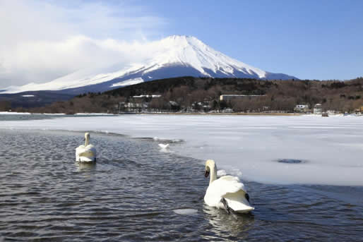 Lake Yamanakako
