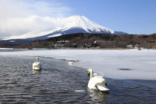 山中湖  