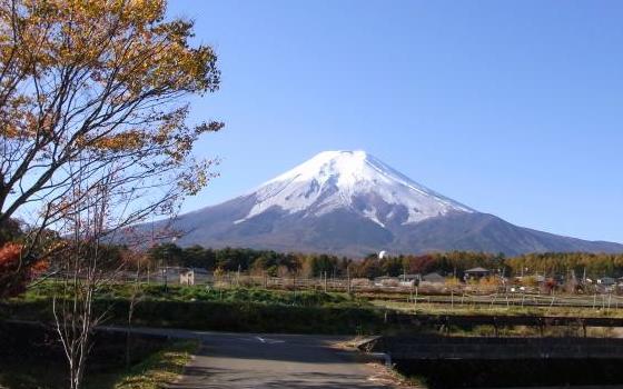 農村公園