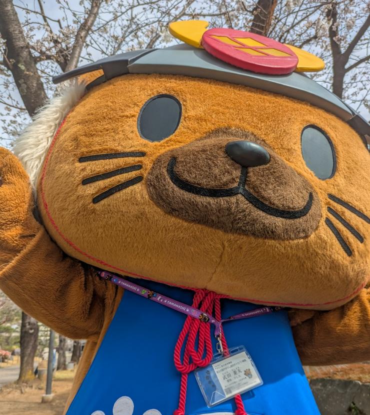 ネックストラップを着けたひし丸