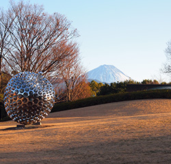 芸術の森公園