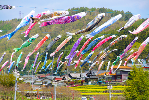 長沢鯉のぼり祭り