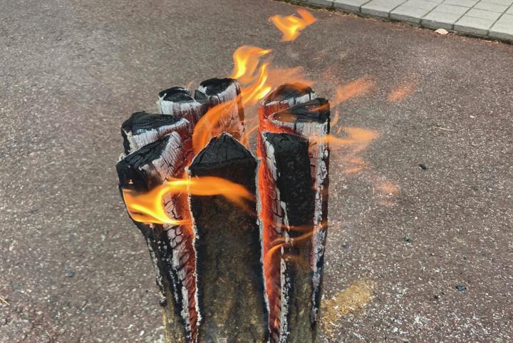 スウェーデントーチ