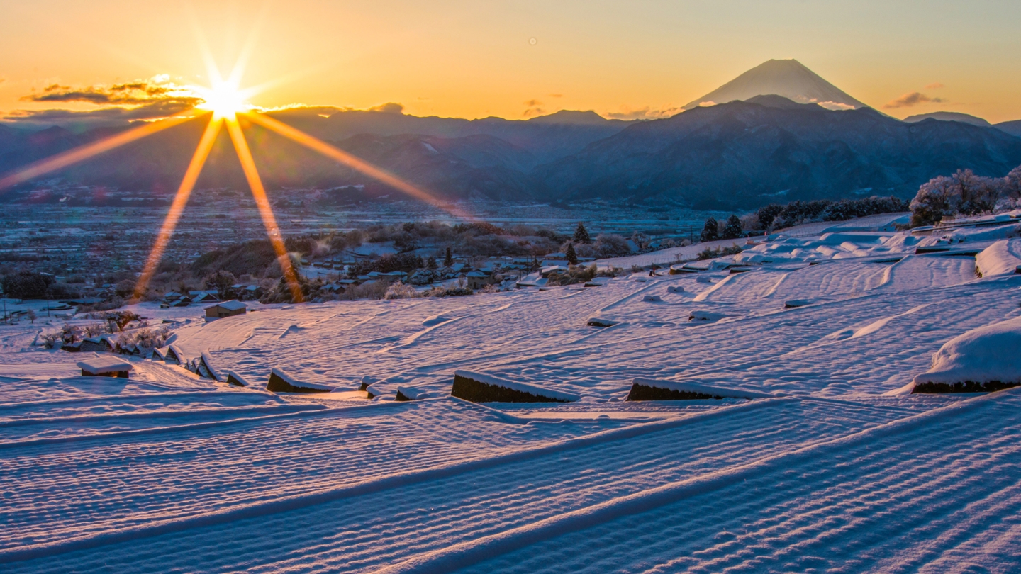 南アルプス市中野の棚田