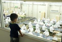 桔梗信玄餅工場テーマパーク