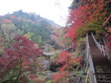 大柳川渓谷散策