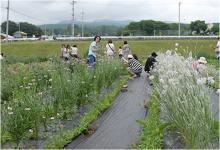 香りの花摘み体験