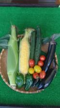 野菜収穫