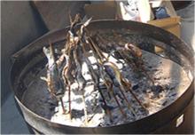 食体験　魚の串焼き