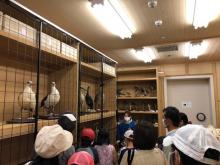 生物多様性まつり