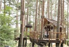 自然体験基地　どんぐりコース