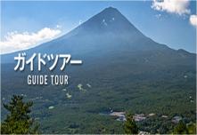 森の案内ガイド(ネイチャーガイドツアー)個人向け