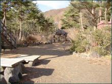 自然探索路で溶岩樹形の見学・散策