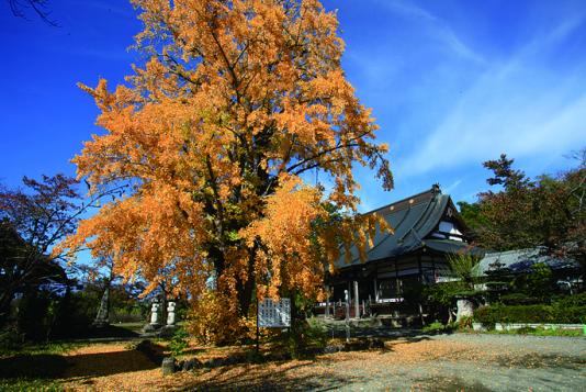 円楽寺