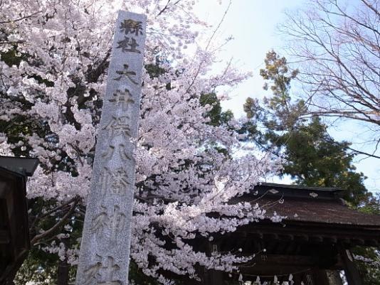 大井俣窪八幡神社