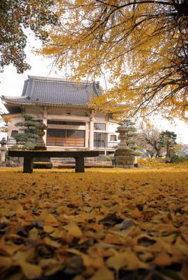 萬福寺