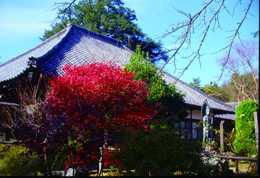 高龍寺