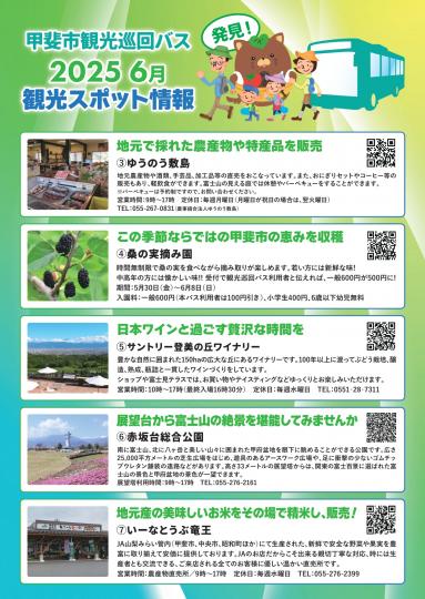 甲斐市巡回バスチラシ