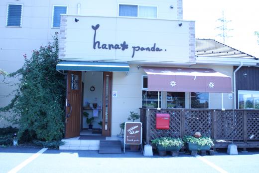hanapanda2
