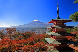 富士山ビュー（新倉山浅間公園）1