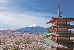 富士山ビュー（新倉山浅間公園）4