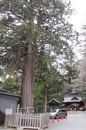 新倉山浅間神社2