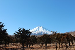 富士山ビュー（富士散策公園）2