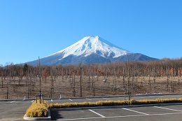 富士山ビュー（富士散策公園）4