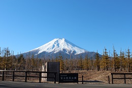 富士山ビュー（富士散策公園）1