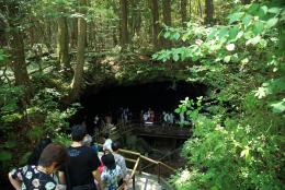 鳴沢氷穴・富岳風穴【南都留郡】（なるさわひょうけつ・ふがくふうけつ【みなみつるぐん】）