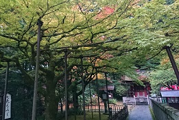 北口本宮冨士浅間神社4