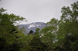 富士山女人天上1