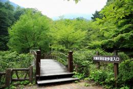 大柳川1