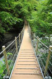大柳川2