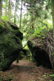 大柳川4