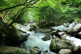 竜門2