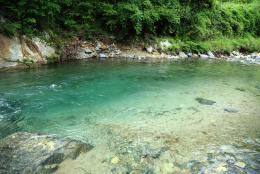 山門水源の森