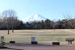 富士山ビュー（諏訪ノ森自然公園）2